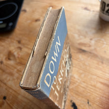 Load image into Gallery viewer, Down to Jericho - Vera Hopkins
