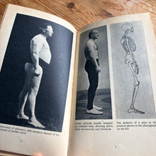 Load image into Gallery viewer, The Culture of the Abdomen - F.A. Hornibrook
