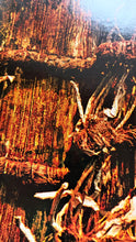 Load image into Gallery viewer, Penrose Annual 1969
